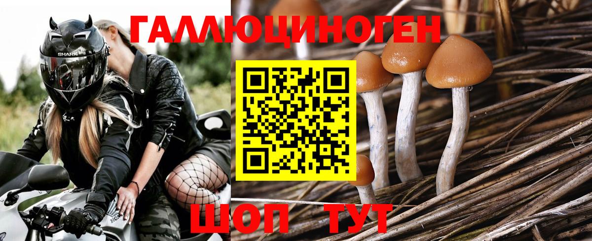 Галлюциногенные грибы Cubensis  Вход с VPN  наркотики  Ржев  Псилоцибиновые грибы мухоморы 